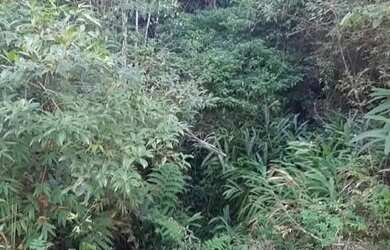 Imagem: Terreno 18 mil metros