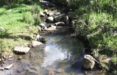 Imagem: A chácara possui 20.000m² de Área e está localizado em