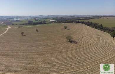Imagem 4: Ótima fazenda a venda próxima a Rodovia Castelo Branco em Porto Feliz