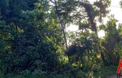 Imagem: O terreno possui 9.800m² de Área e está localizado em Ribeirão