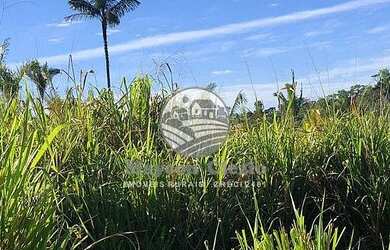 Imagem: A fazenda possui 556600m² de Área e está localizado em Machadinho