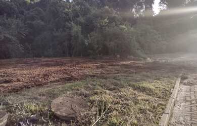 Imagem 5: Terreno com área verde à venda em Linha Santa Cruz