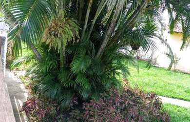 Imagem 3: Casa para aluguel 3 quartos em Guaratiba Ponta Negra - Maricá - RJ