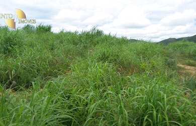 Imagem 5: Fazenda em Nova Brasilândia à venda, 17500000 m² por R$ 9.975.000 -...