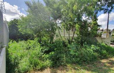 Imagem 4: Terreno à venda, 335 m² por R$ 319.500,00 - Hamburgo Velho - Novo Hamburgo/RS