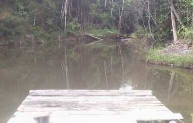 Imagem 16: LINDA FAZENDA EM STA CRUZ CABRALIA pertinho de PORTO SEGURO - BA