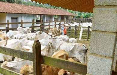 Imagem 9: Fazenda com 4 dormitórios à venda, 968000 m² por R$ 9.000.000,00 -...