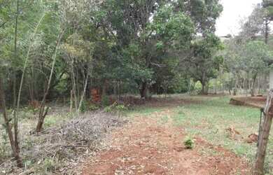 Imagem 7: Terreno 27ha na regiao de Santa Luzia terra de cultivo Varias opçoes