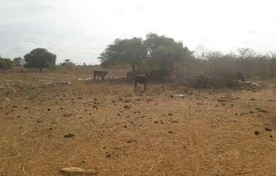 Imagem 1: Linda Fazenda com 570 hectares entre os municípios de tangara e serra...
