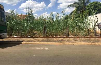 Imagem: O terreno possui 10m² de Área e está localizado em Patrimonio