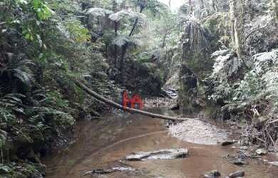 Imagem 9: Área à venda, 15125 m² por R$ 420.000,00 - Fazendinha - Campo Largo/PR