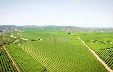 Imagem 2: Fazenda à venda, 1317 alqueires paulista por R$ 230.000.000 - Zona Rural...