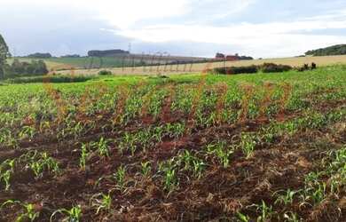 Imagem: A chácara possui 10m² de Área e está localizado em Alto