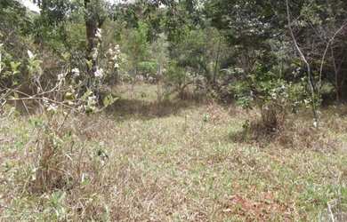 Imagem 8: Terreno 27ha na regiao de Santa Luzia terra de cultivo Varias opçoes