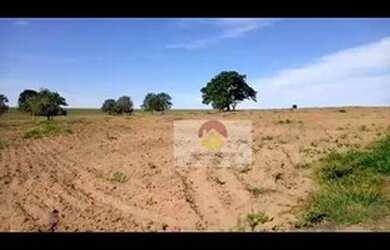 Imagem 13: Fazenda à venda, 560 Alqueires por R$ 56.000.000 - Penápolis/SP