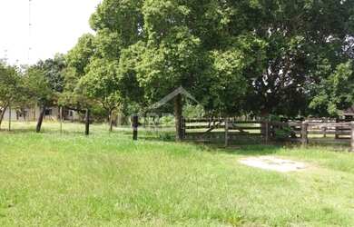 Imagem: Fazenda à venda no município de Nossa Senhora do Livramento-MT