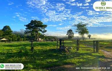 Imagem 8: FAZENDA 210 ALQUEIRES 92 ALQUEIRES ABERTO - ARIQUEMES
