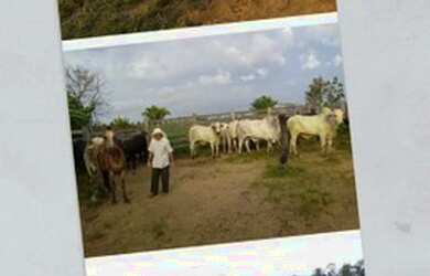 Imagem: Propriedade Rural para venda a vista ou parcelado