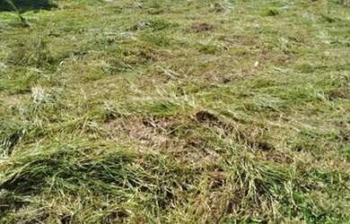 Imagem 1: Excelente Terreno no Bairro Fazendinha, Araruama - RJ