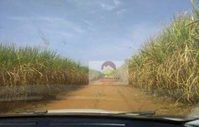 Imagem 4: Fazenda à venda, 560 Alqueires por R$ 56.000.000 - Penápolis/SP