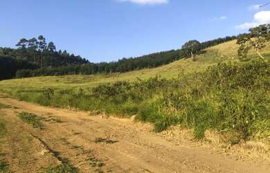 Imagem 5: Lote/Terreno para venda tem 500 metros quadrados