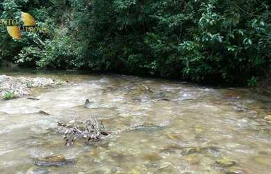 Imagem 16: Fazenda em Nova Brasilândia à venda, 17500000 m² por R$ 9.975.000 -...