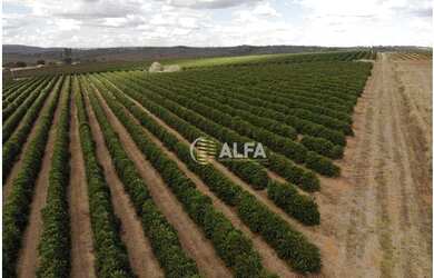 Imagem 4: Fazenda à venda, 1317 alqueires paulista por R$ 230.000.000 - Zona Rural...