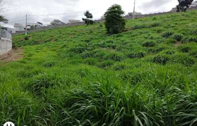 Imagem 3: Terreno à venda, 450 m² por R$ 170.000 - Jardim Alto de Santa Cruz -...