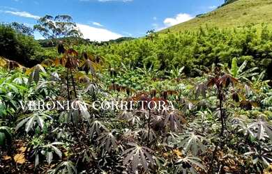 Imagem 14: Ótima fazenda à venda em São João Nepomuceno MG