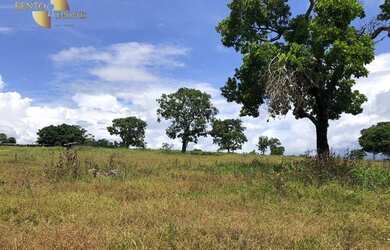 Imagem 6: Fazenda em Juscimeira à venda, 5020000 m² por R$ 6.000.000 - Zona Rural...