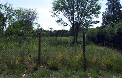 Imagem 3: Terreno à venda, 3000 m² por R$ 1.000.000,00 - Jardim Shangri-Lá -...