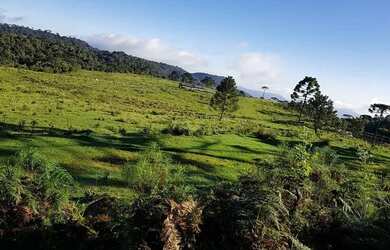 Imagem: O terreno está localizado em Urubici, SC à venda por R$35.000.000