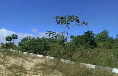 Imagem 12: Terreno 150 metros quadrados em Porto Sauípe - Entre Rios - BA