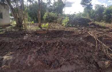 Imagem: O terreno está localizado em Belterra, PA à venda por R$10.500