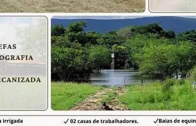 Imagem: A fazenda está localizado em Rafael Jambeiro, BA à venda por