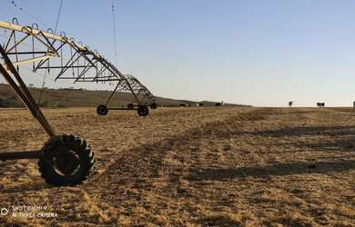Imagem 11: R$150 Milhões Fazenda de 405 alqueires em Campo Alegre-GO