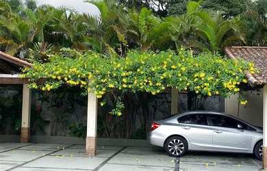 Imagem 10: Casa 5 quartos, sendo 2 suítes