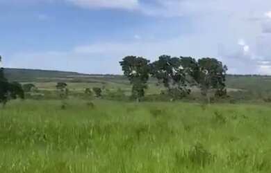 Imagem 5: Vende-se uma excelente fazenda de 1.100 hectares