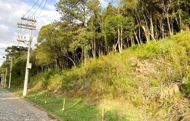 Imagem 15: Terreno à Venda em Canela