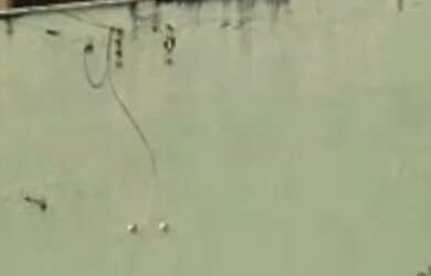 Imagem: A casa possui 3 Dormitórios, 3 Banheiros, 1 Vaga na garagem