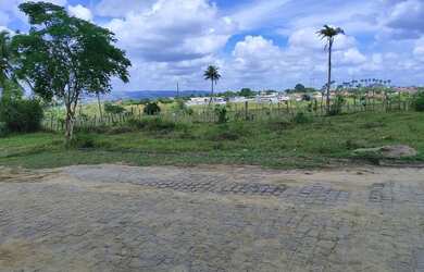 Imagem: O terreno possui 160m² de Área e está localizado em Amargosa