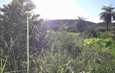 Imagem: O terreno possui 5.000m² de Área e está localizado em Jaboticatubas