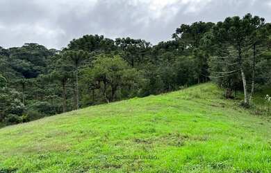 Imagem: O terreno está localizado em Urubici, SC à venda por R$880.000