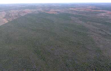 Imagem 7: Fazenda/Sítio/Chácara para venda com 310 ha em - São Gabriel - BA