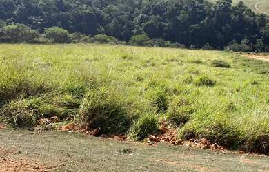 Imagem 3: Lote/Terreno para venda tem 500 metros quadrados em Jardim Paulista -...