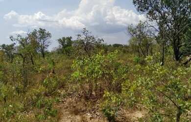 Imagem 3: 250 Alqs Rio Plana Varias Nascentes Região Mansinha TO