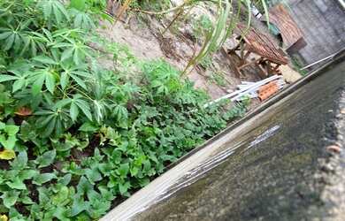 Imagem 7: Lote em Itaoca Praia Esc. Registrada 12.5x20 vendo 1/2 por R$45.000,00