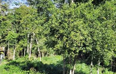 Imagem: O terreno possui 692m² de Área e está localizado em São