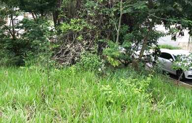 Imagem 2: Lote com patamar inicial plano, vista deslumbrante, 1.300m2