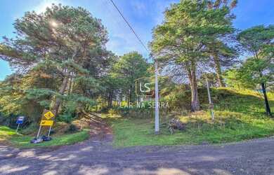 Imagem: O terreno possui 7.700m² de Área e está localizado em Canela